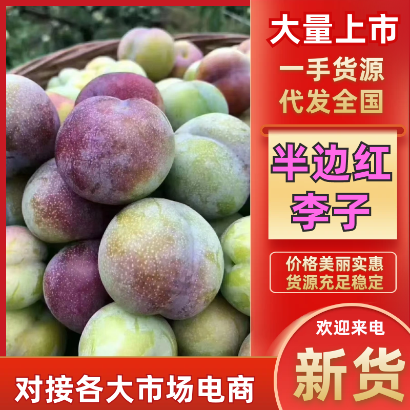 产地四川，口感脆甜，老少皆宜，糖度15需要联系我，货源充
