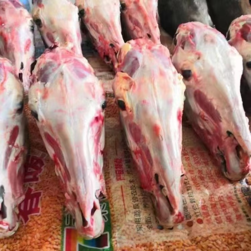 带皮马头厂家直发品种齐全售后保障对接全国量大优惠