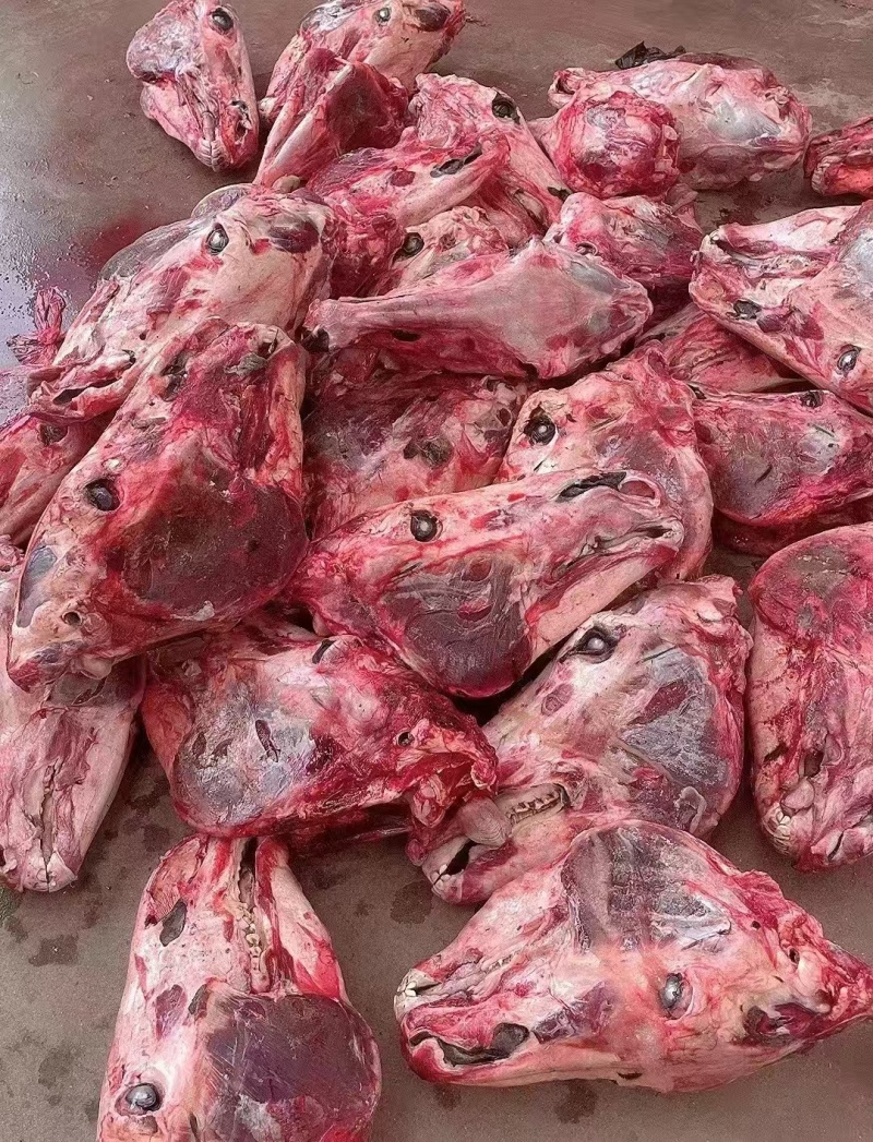 带皮马头厂家直发品种齐全售后保障对接全国量大优惠