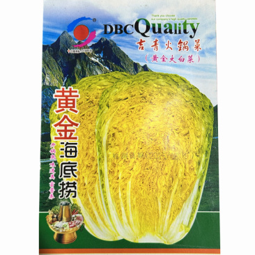 黄芯白菜种子1500粒外叶深绿金黄色大田基地品种