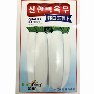 韩白玉萝卜种子白萝卜10g不易抽苔不易糠心早熟基地