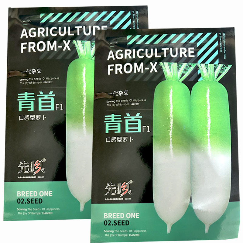 青首水果萝卜种子口感型萝卜皮薄肉嫩大田基地