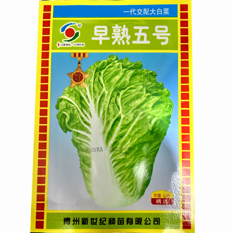 早熟五号白菜种子抗热耐寒3克大田叠抱耐运输