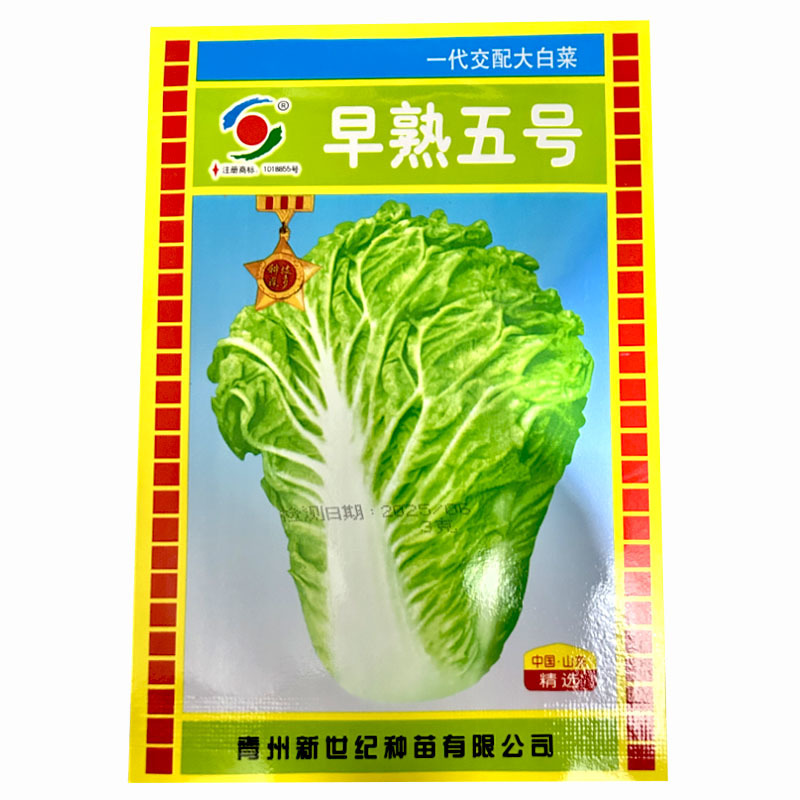 早熟五号白菜种子抗热耐寒3克大田叠抱耐运输