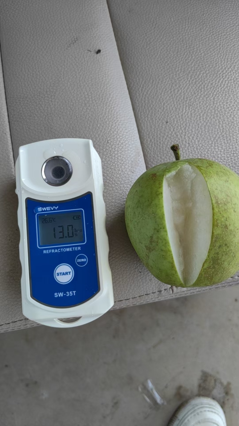 湖北枣阳翠冠梨口感脆甜货量大自家一手货源，诚接电商，商超