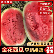 《宁夏金花西瓜》石头瓜/中卫西瓜/硒砂瓜/质量三包