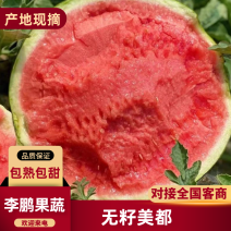 《麒麟西瓜》无籽美都/8424/大棚种植/质量三包代发