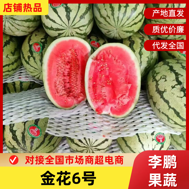 《宁夏金花6号》石头瓜/中卫西瓜/硒砂瓜/日供应30万斤