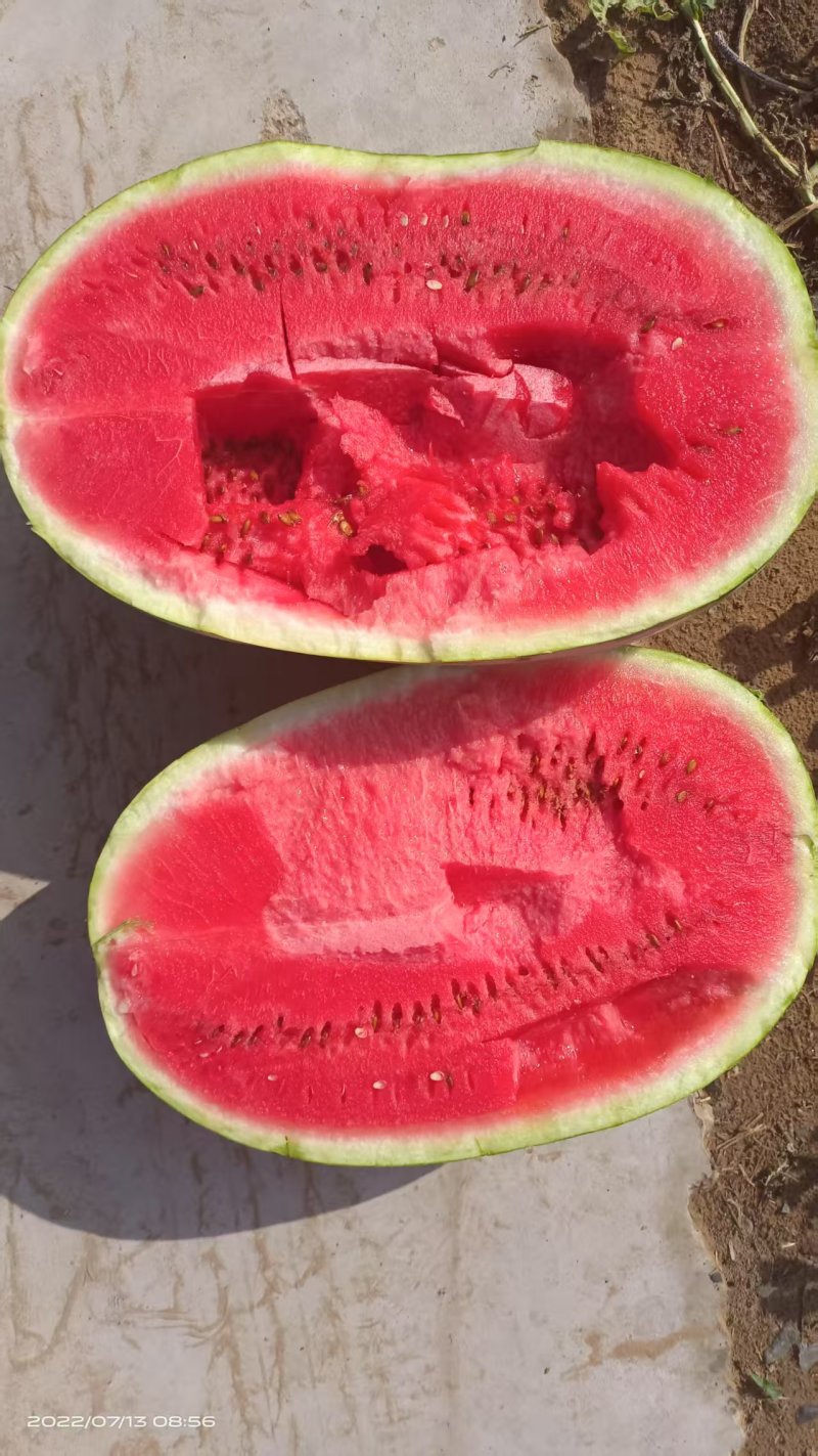 宁夏硒砂瓜大西瓜宁夏西瓜石头瓜口感好价格实惠欢迎电联