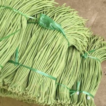 河南中牟长条豆角产地货源充足量大价优欢迎随时联系