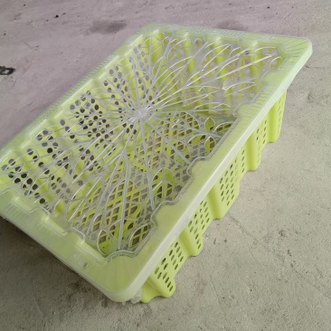 【实力推荐】武汉黄色水果筐产地直发品质保障量大从优可视频