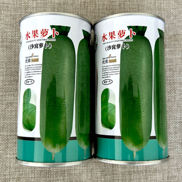 沙窝萝卜种子脆甜多汁水果萝卜100g肉色翠绿基地品种