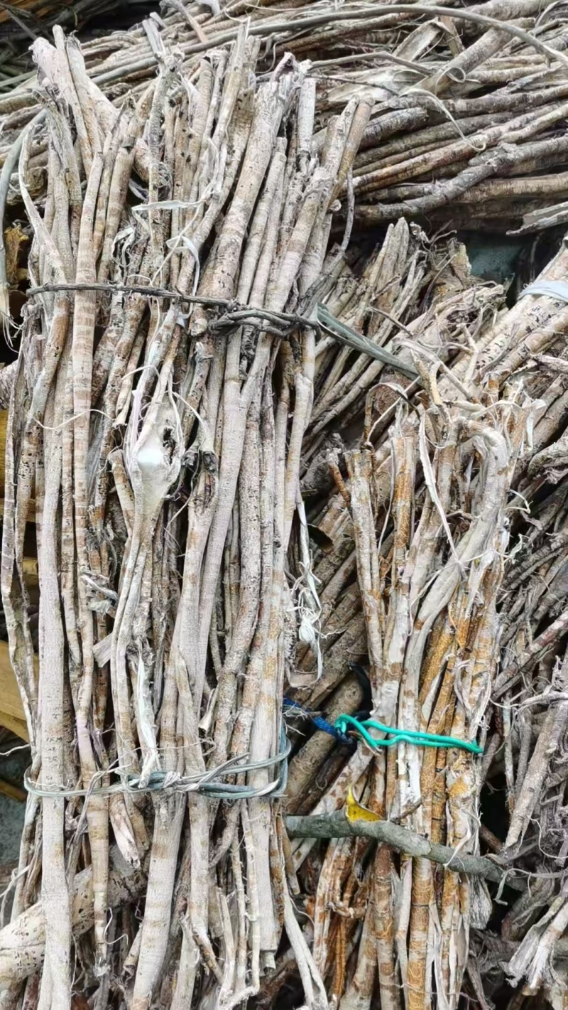 【源头工厂直供】桑白皮规格多样量大价优质量保障