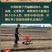 荆芥籽大量现货供应中现在正是种植季，欢迎来电质询