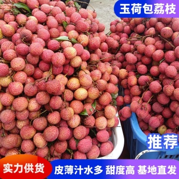 玉荷包荔枝广东荔枝基地直发提供一条龙服务欢迎来电