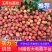 阳江荔枝玉荷包荔枝万亩果园现摘现发对接市场电商