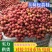 【实力供货】精品玉荷包荔枝阳西荔枝基地直发量大从优