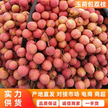 玉荷包荔枝广东荔枝皮薄多汁基地直供代发全国市场