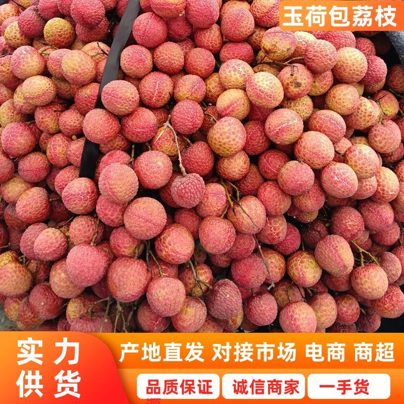 玉荷包荔枝广东荔枝皮薄多汁基地直供代发全国市场