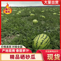 【实力推荐】宁夏硒砂瓜金花1号西瓜货量充足产地直发