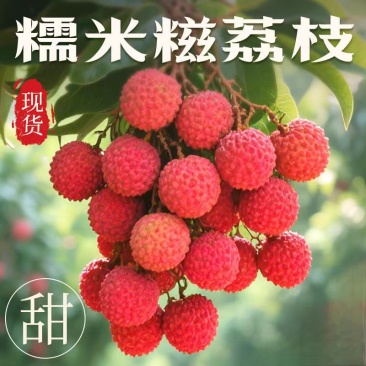 广东糯米糍荔枝一件代发产地直发一手货源对接各大电商平台