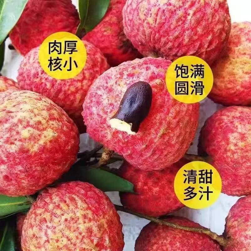 广东糯米糍荔枝一件代发产地直发一手货源对接各大电商平台