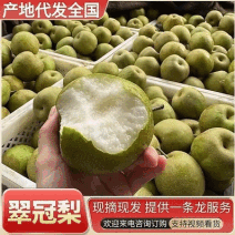 《翠冠梨》湖北梨/产地现摘现发/价格便宜/欢迎来电咨询