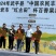 百香果钦蜜9号百香果基地直发量大从优供应全国市场