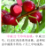 中威22号红皮红肉油桃7月上中旬成熟前期脆甜可口后期浓