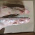 鲜冻带筋猪蹄-后蹄