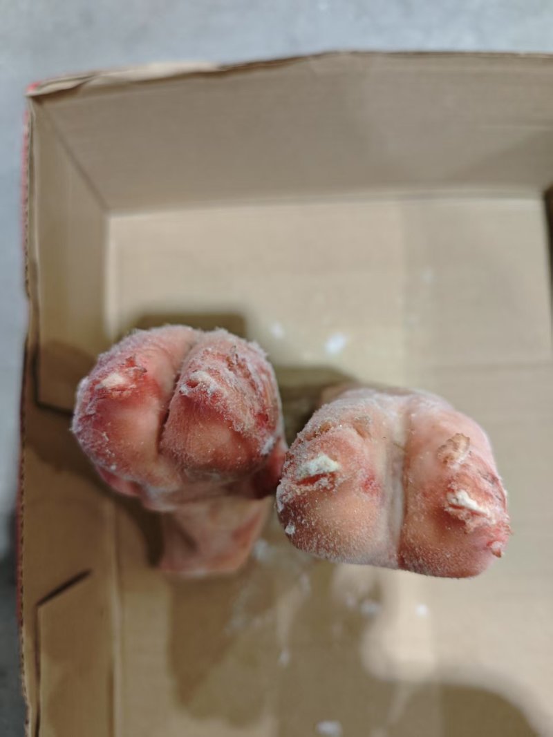 鲜冻带筋猪蹄-后蹄