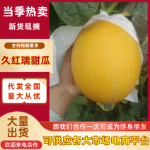 饶阳久红瑞河北甜瓜产地直发商超品质对接全国市场等