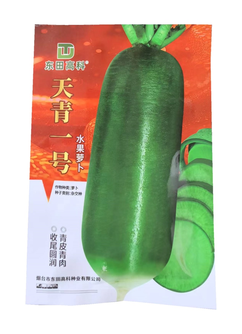 天青一号水果萝卜种子无辣味口感青萝卜种子