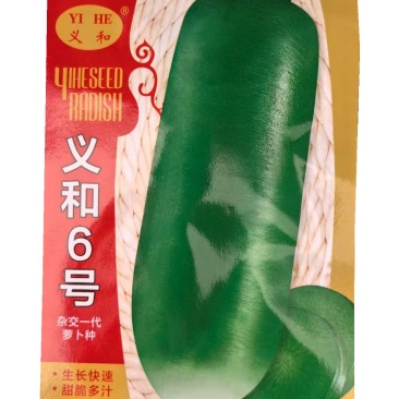 义和6号水果萝卜种子杂交一代秋萝卜种子