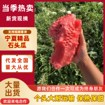 宁夏精品硒砂瓜石头瓜金城五号金花西瓜品质好价格低个头大