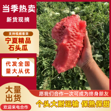 宁夏精品硒砂瓜石头瓜金城五号金花西瓜品质好价格低个头大