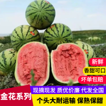 宁夏硒砂瓜中卫石头瓜金花西瓜基地直发包熟包甜全国整车批发