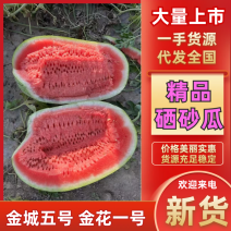 宁夏金华系列硒砂瓜金城五号西瓜石头瓜产地直发大吨位供应中