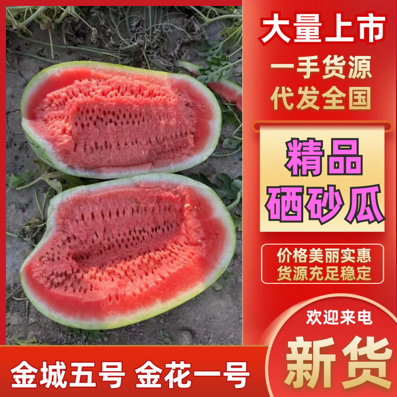 宁夏金华系列硒砂瓜金城五号西瓜石头瓜产地直发大吨位供应中