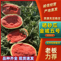 宁夏精品石头瓜硒砂瓜金城五号西瓜金花系类保熟保甜耐运输