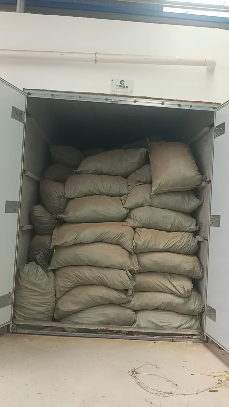 红丹参大量供货质量保证一手货源河南基地直发量大优惠