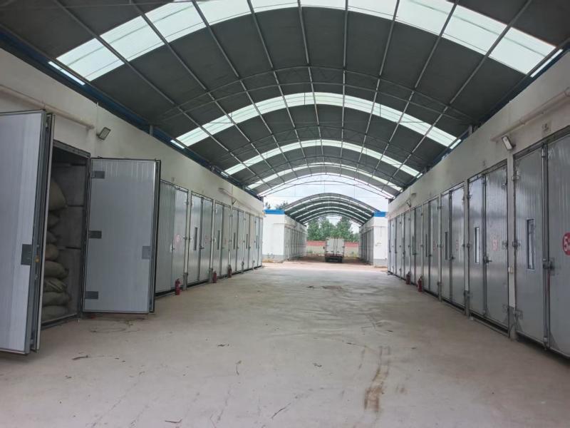 红丹参大量供货质量保证一手货源河南基地直发量大优惠