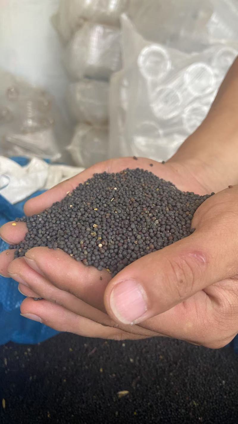 菜籽油保纯保香保正宗源头工厂价格冰点