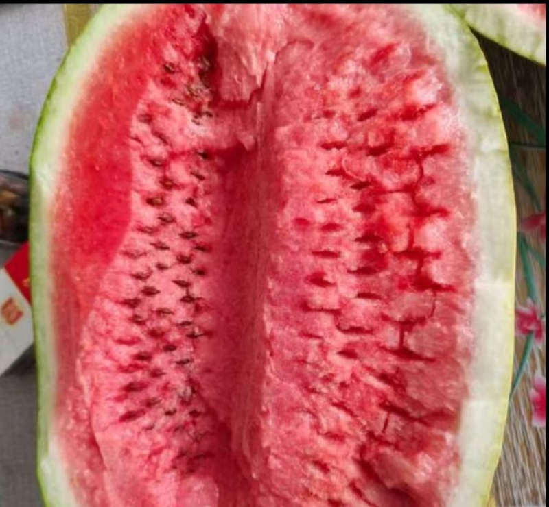 黄河滩大西瓜