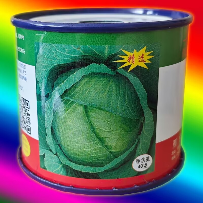 邢申京丰一号甘蓝种子包菜卷心菜洋白菜脱水蔬菜种子原装正品