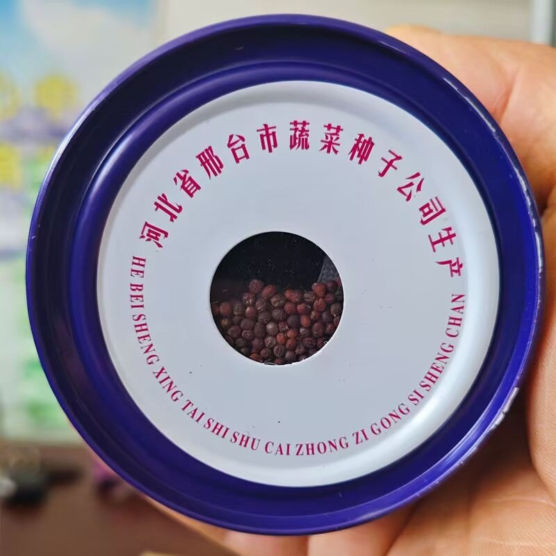邢申京丰一号甘蓝种子包菜卷心菜洋白菜脱水蔬菜种子原装正品
