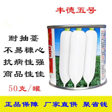 丰德五号萝卜种子皮白光滑抗病耐抽苔收尾好
