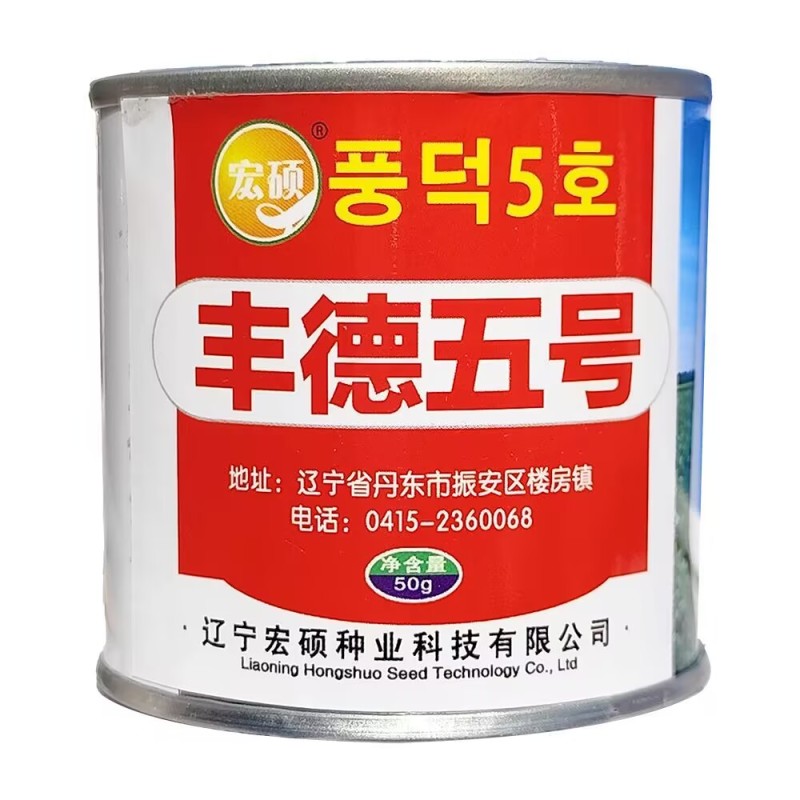 丰德五号萝卜种子皮白光滑抗病耐抽苔收尾好