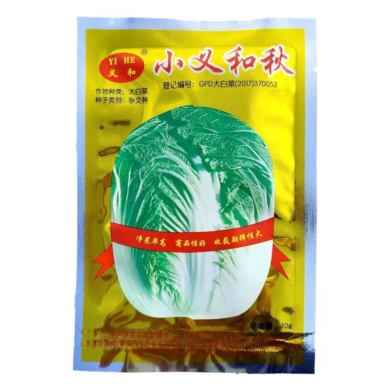 小义和秋大白菜种子抗病秋白菜种籽杂交种短圆筒白菜