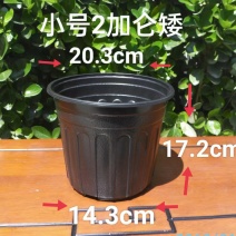 2加仑花盆